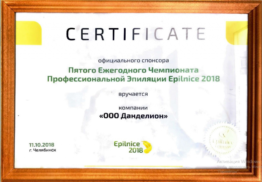 партнер чемп челябинск2018.jpg